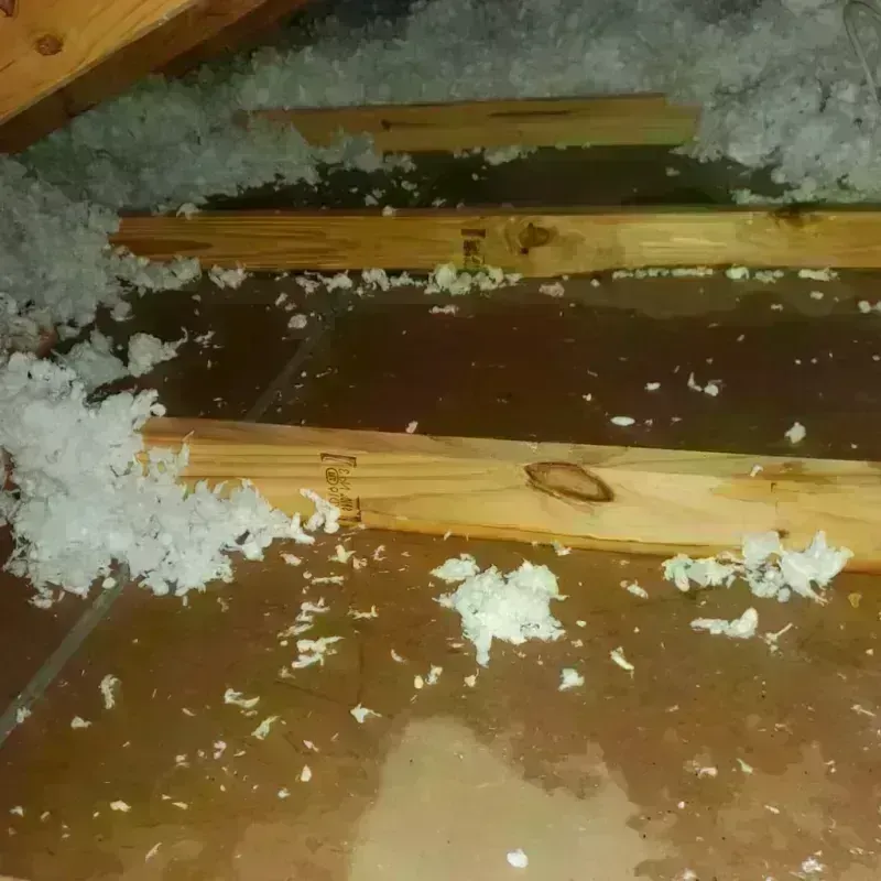 Attic Water Damage in Heavener, OK